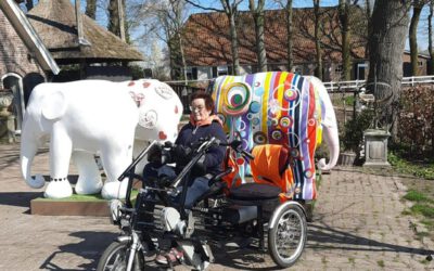 De Elephant parade in Nijkerk