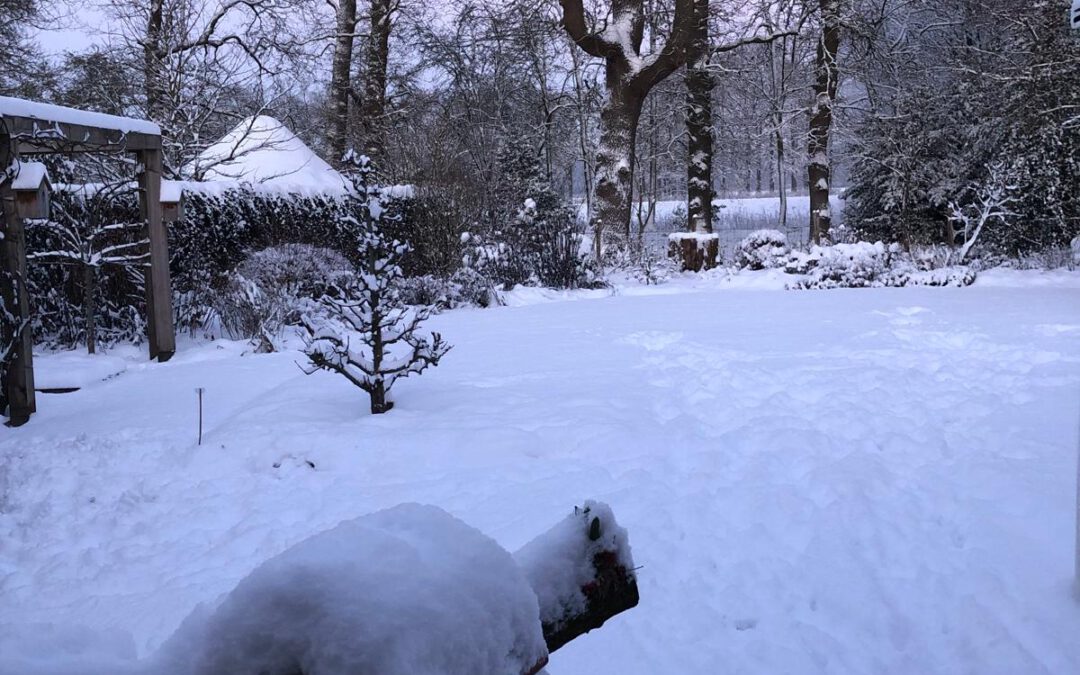 Winterthema