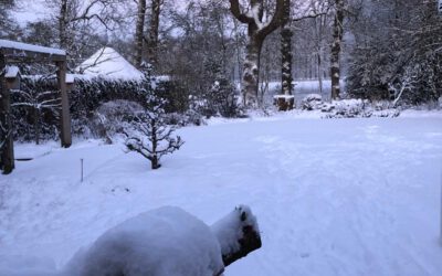 Winterthema